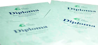 VCA Diploma